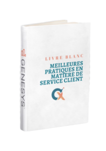 Meilleures Pratiques En Matière De Service Client EBOOK Meilleures Pratiques En Matière De Service Client EBOOK